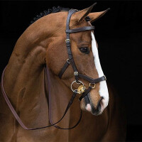 Horseware - Rambo Micklem Multibridle, black, small Horse