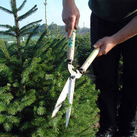 Okatsune 231 Heckenschere mit 30 cm Griff und 20 cm Klinge, Gesamtlänge 57 cm