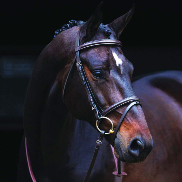 Horseware - Zaumzeug Amigo, aus umweltfreundlichen Leder, Warmblut, schwarz
